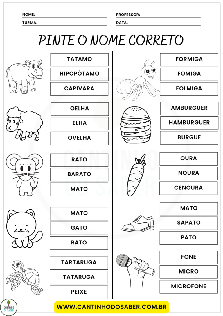 Atividade Pinte O Nome Correto Atividades Para A Educa O Infantil