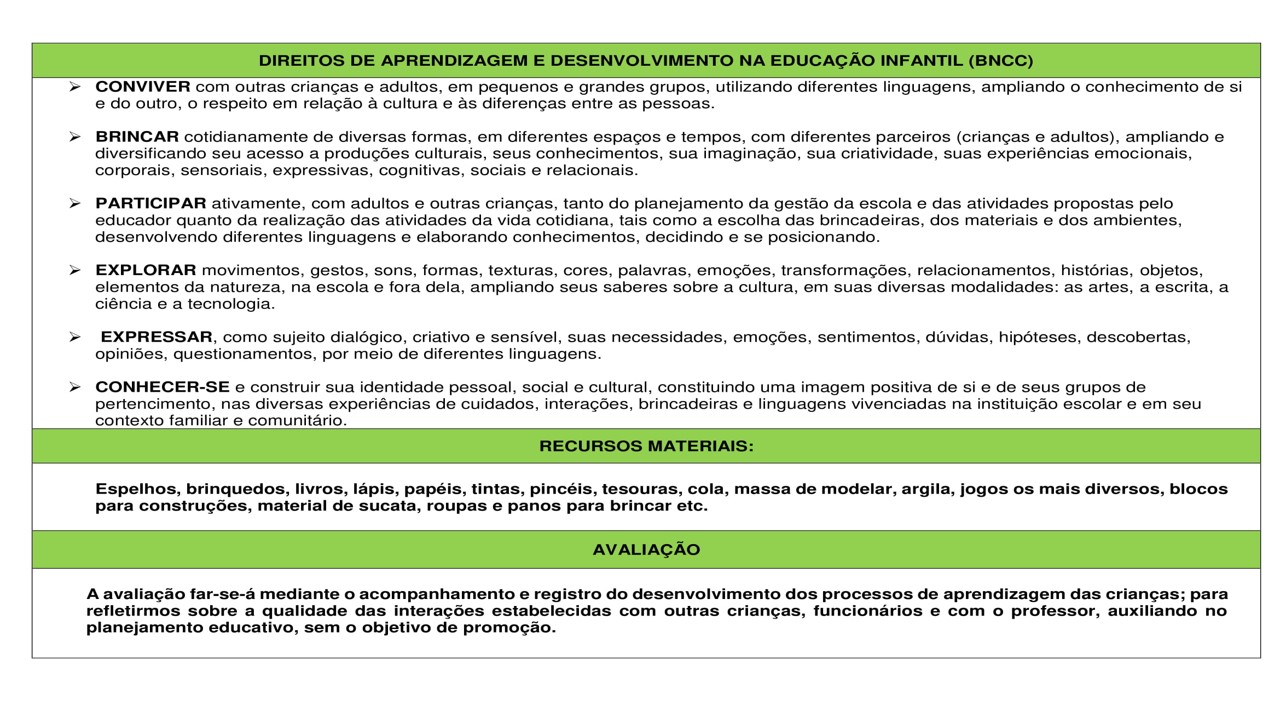 Planejamento anual para maternal berçário 0 a 1 ano - Atividades