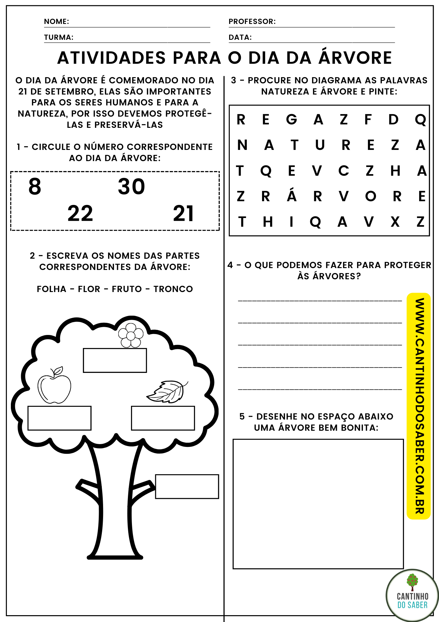 ATIVIDADE DE MATEMÁTICA - ÁRVORE MATEMÁTICA - 1º ANO