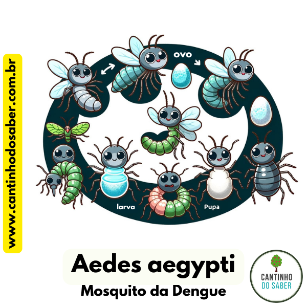 ilustrações sobre o mosquito da dengue