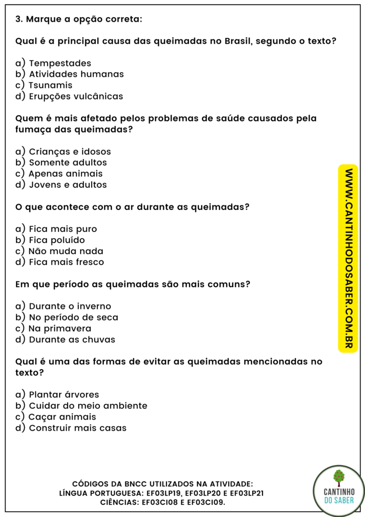 atividade de interpretação de texto - 3 ano - queimadas