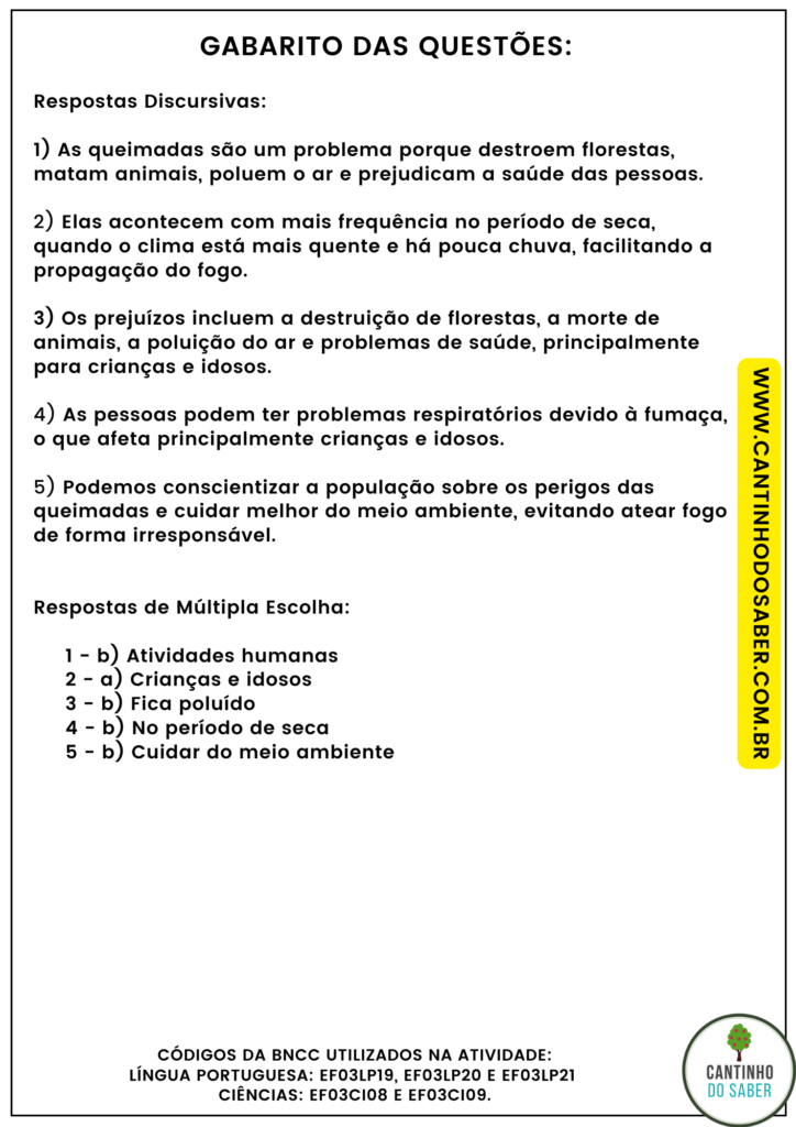 atividade de interpretação de texto - 3 ano - queimadas