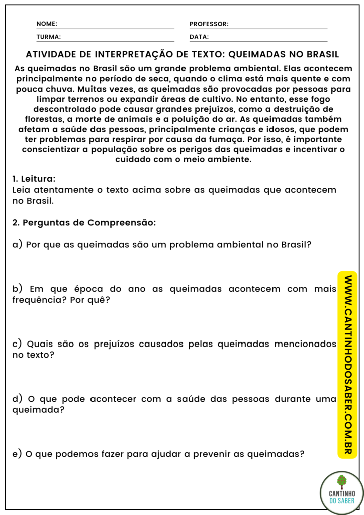 atividade de interpretação de texto - 3 ano - queimadas