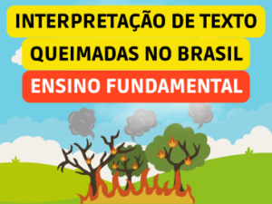 atividade de interpretação de texto - 3 ano - queimadas